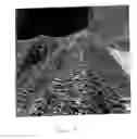 Fig. 02 - System for Draping Meteorological Data on a  Three Dimensional Terrain Image