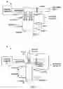 Fig. 04 - Method of sterilization using plasma generated sterilant gas