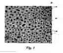 Fig. 02 - Monodisperse nanoparticles and method of making