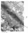 Fig. 06 - Carbon nanotubes grown on bulk materials and methods for fabrication