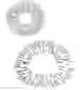 Fig. 01 - Novel therapeutic delivery systems