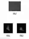 Fig. 02 - Compositions based on polysaccharides grafted by polyamine or polysulphurised compounds