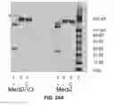 Fig. 45 - Protein Formulations