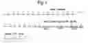 Fig. 02 - POLYPEPTIDES, ANTIBODY VARIABLE DOMAINS AND ANTAGONISTS