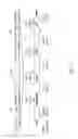 Fig. 02 - Attenuated FNR deficient enterobacteria