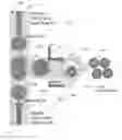 Fig. 01 - Artificial micro-gland