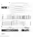 Fig. 02 - TRANSMEMBRANE PROSTATIC ACID PHOSPHATASE