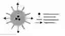 Fig. 01 - Mesoporous silica nanoparticles for biomedical applications