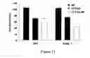 Fig. 07 - Mesoporous silica nanoparticles for biomedical applications