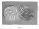 Fig. 02 - Compositions of volatile organic compounds and methods of use thereof
