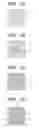 Fig. 02 - Method of producing optical film and coating liquid for production of optical film