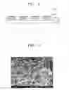 Fig. 02 - NANOSTRUCTURE COMPOSITE AND METHOD OF PRODUCING THE SAME