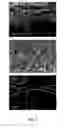 Fig. 04 - TiOnanostructures, membranes and films, and methods of making same