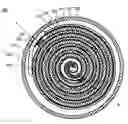 Fig. 01 - Jelly-roll of structure having elastic member adhered on active material-non-coated portion and secondary battery employed with the same