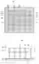 Fig. 01 - Attenuated phase-shift photomasks, method of fabricating the same and method of fabricating semiconductor using the same
