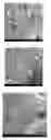 Fig. 01 - ADVANCED BIO-COMPATIBLE POLYMER SURFACE COATINGS FOR IMPLANTS AND TISSUE ENGINEERING SCAFFOLDS