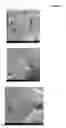 Fig. 02 - ADVANCED BIO-COMPATIBLE POLYMER SURFACE COATINGS FOR IMPLANTS AND TISSUE ENGINEERING SCAFFOLDS