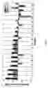 Fig. 06 - Method for diagnosing lung cancers using gene expression profiles in peripheral blood mononuclear cells