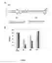Fig. 09 - Integrated—ligand-responsive microRNAs
