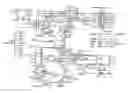 Fig. 01 - Genetically-engineered ethanol-producing bacteria and methods of using