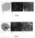 Fig. 06 - Method and device for fixing/stabilising a sample