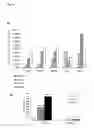 Fig. 02 - Differentiation of Human Embryonic Stem Cells