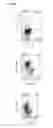 Fig. 49 - Differentiation of Human Embryonic Stem Cells