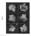 Fig. 06 - PLANT STEM CELL LINE DERIVED FROM QUIESCENT CENTER AND METHOD FOR ISOLATING THE SAME