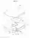 Fig. 75 - Analyzing device, analyzing apparatus using the device, and analyzing method