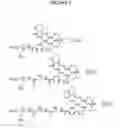 Fig. 02 - Surface enhanced resonance raman scattering spectroscopy (SERRS) nanoparticle probes and methods of use