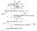Fig. 01 - AFFINITY CONTROL OF TAGGING NOISE