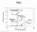 Fig. 04 - Method for oxide film formation and apparatus for the method