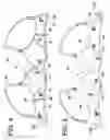 Fig. 03 - Breast saver: an ergonomic dynamic bra with combo cups