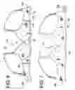 Fig. 04 - Breast saver: an ergonomic dynamic bra with combo cups