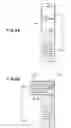 Fig. 07 - PORTABLE APPARATUS AND DISPLAY CONTROL METHOD THEREOF