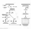 Fig. 01 - High-throughput methods for detecting DNA methylation
