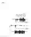 Fig. 02 - High-throughput methods for detecting DNA methylation
