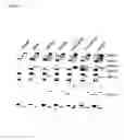 Fig. 06 - High-throughput methods for detecting DNA methylation