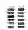 Fig. 07 - High-throughput methods for detecting DNA methylation