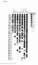 Fig. 08 - High-throughput methods for detecting DNA methylation
