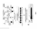 Fig. 08 - Methods and compositions comprising capture agents