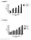 Fig. 08 - NOVEL AS160-LIKE PROTEIN, TEST SYSTEMS, METHODS AND USES INVOLVING IT FOR THE IDENTIFICATION OF DIABETES TYPE 2 THERAPEUTICS