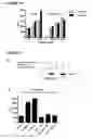 Fig. 10 - NOVEL AS160-LIKE PROTEIN, TEST SYSTEMS, METHODS AND USES INVOLVING IT FOR THE IDENTIFICATION OF DIABETES TYPE 2 THERAPEUTICS
