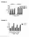 Fig. 11 - NOVEL AS160-LIKE PROTEIN, TEST SYSTEMS, METHODS AND USES INVOLVING IT FOR THE IDENTIFICATION OF DIABETES TYPE 2 THERAPEUTICS