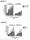 Fig. 12 - NOVEL AS160-LIKE PROTEIN, TEST SYSTEMS, METHODS AND USES INVOLVING IT FOR THE IDENTIFICATION OF DIABETES TYPE 2 THERAPEUTICS