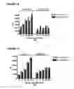 Fig. 13 - NOVEL AS160-LIKE PROTEIN, TEST SYSTEMS, METHODS AND USES INVOLVING IT FOR THE IDENTIFICATION OF DIABETES TYPE 2 THERAPEUTICS