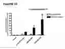 Fig. 14 - NOVEL AS160-LIKE PROTEIN, TEST SYSTEMS, METHODS AND USES INVOLVING IT FOR THE IDENTIFICATION OF DIABETES TYPE 2 THERAPEUTICS