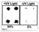 Fig. 06 - Methods for making and imaging arrays that comprise a plurality of different biomolecules