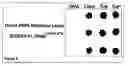 Fig. 08 - Methods for making and imaging arrays that comprise a plurality of different biomolecules