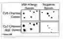 Fig. 35 - Methods for making and imaging arrays that comprise a plurality of different biomolecules